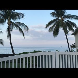 Meet your Posher, Eva